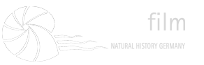 Nautilusfilm GmbH