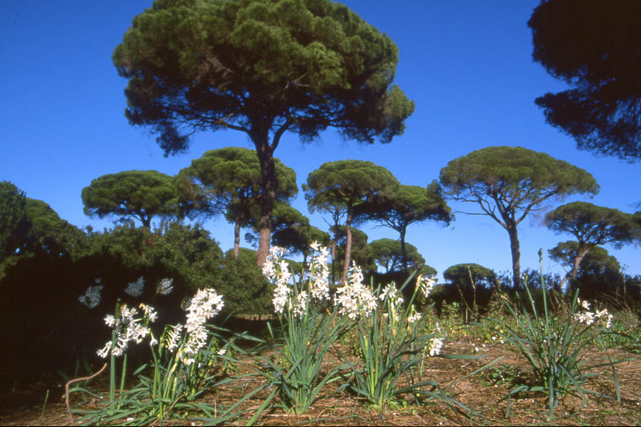 Andalusien