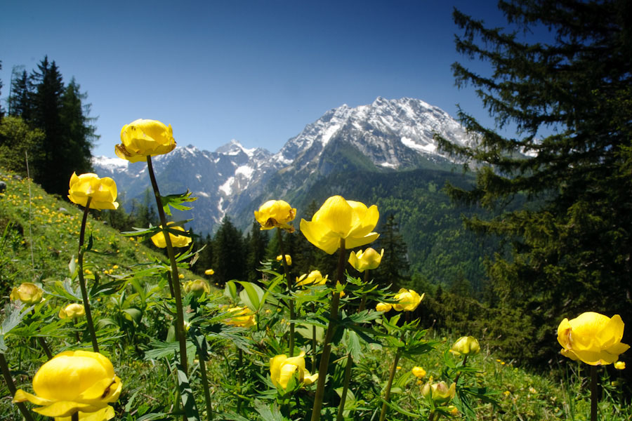 Alps of Berchtesgaden