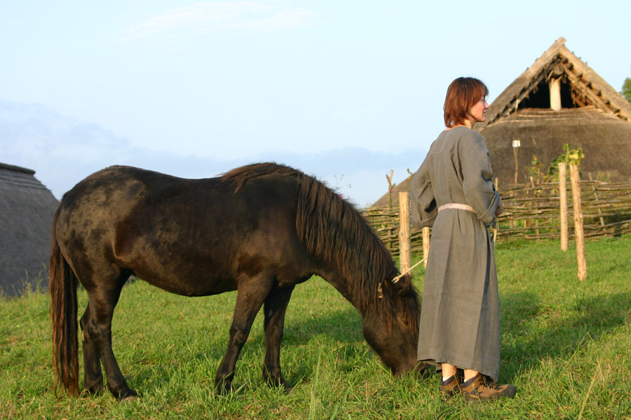 The Meadow