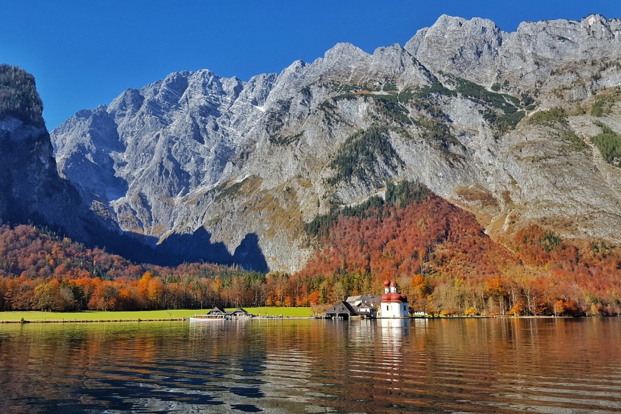 Natur am Königssee