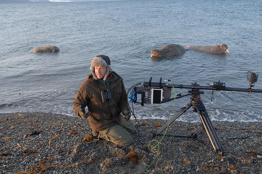 How to: Wildlife Filmmaking