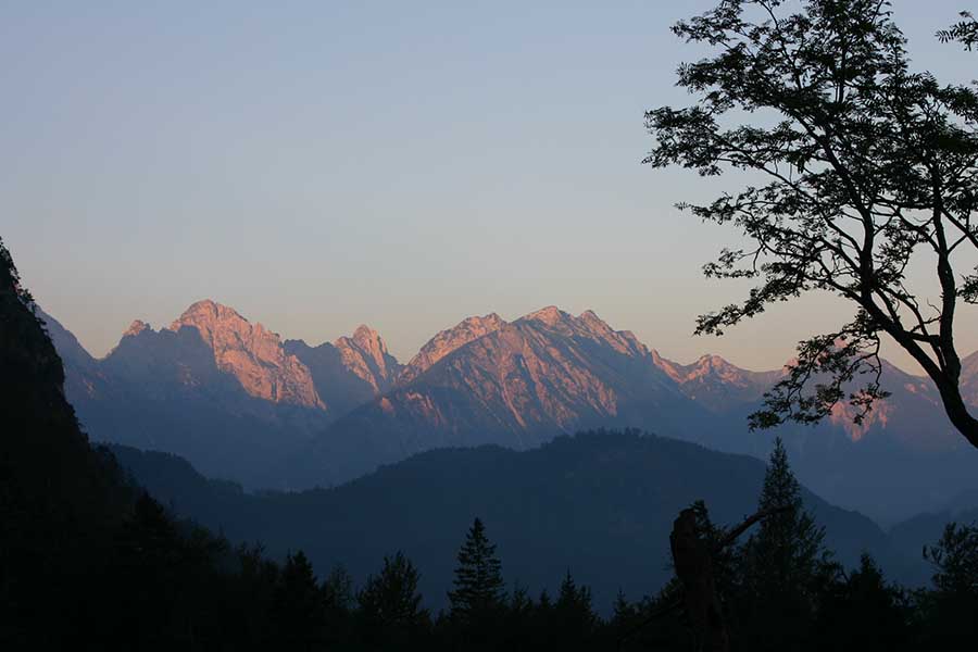 Wildes Allgäu