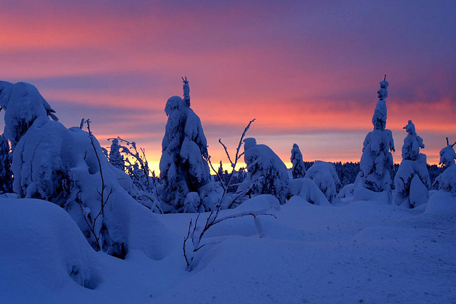 Winter am Alpenrand